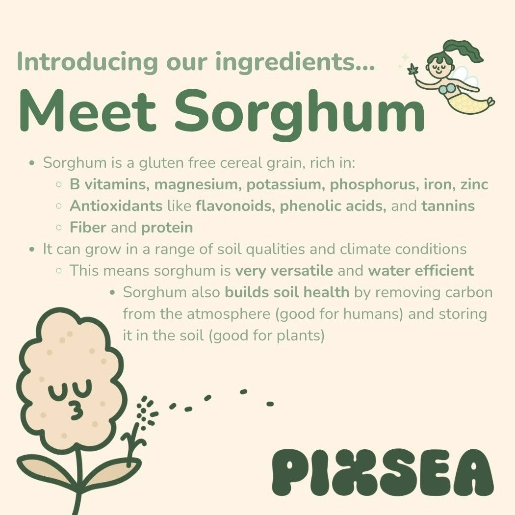Meet Sorghum