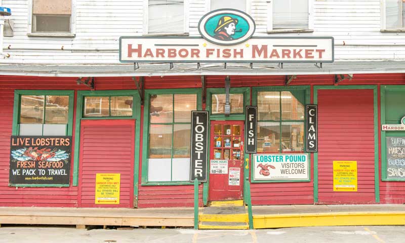 Harbor Fish